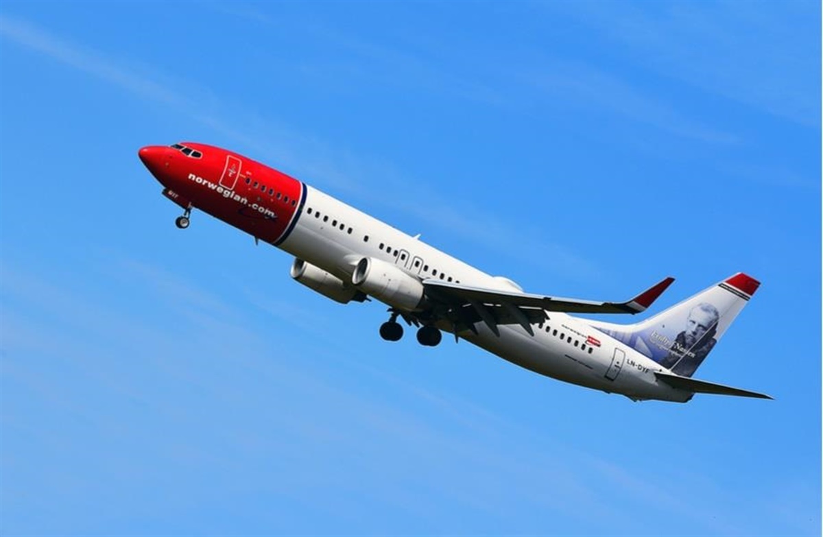 Norwegian forbyder kortnæsede hunde på fly -