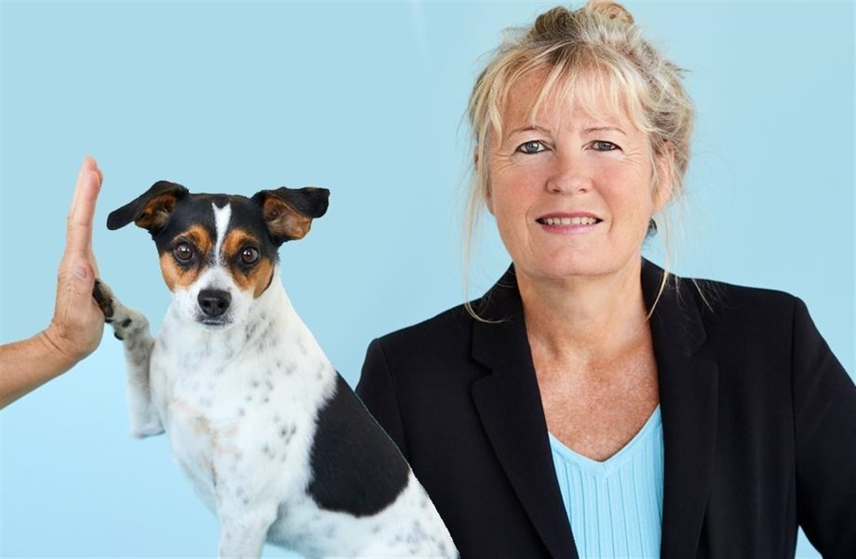 BLOG: allergihunde - Allergiplagede Naya hjulpet af zoneterapi - Hunden.dk