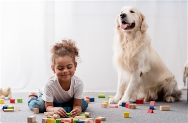 Flere hunde i hjemmet neds&aelig;tter risikoen for astma hos b&oslash;rn