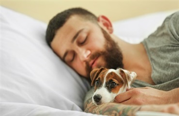 7 overraskende grunde til at du skal lade din hund sove i din seng om natten