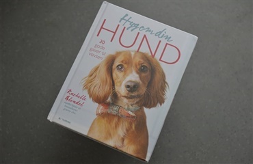Ny gør-det-selv-bog til hundevenner