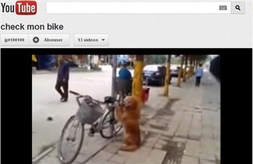 Hund som cykelvagt 