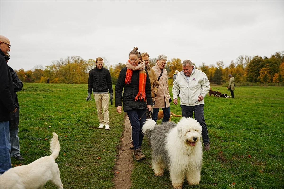 Hunde i alle størrelser var mødt op til den fælles gåtur i Bernstorffsparken. Foto: Moderaterne