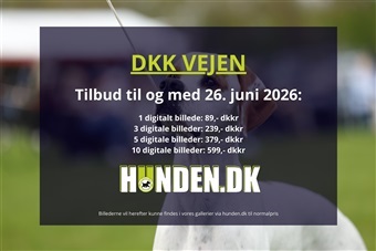 hunden.dk er klar med kameraet i Vejen