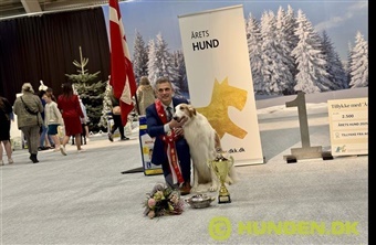 Winter Wonder Show satte punktum for et fantastisk udstillings&aring;r