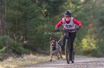 Dansk Tr&aelig;khundeklub – en klub for alle!