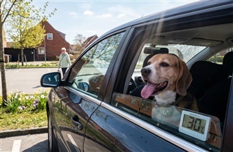 Pas p&aring;: For&aring;rssolen g&oslash;r bilen varm