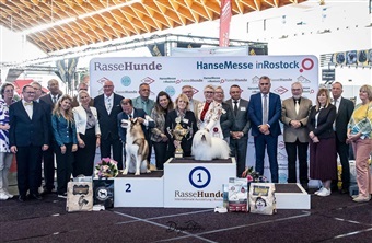 Charlie tog toppen i Rostock