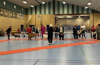 De danske racer fejret ved f&aelig;llesudstilling i Str&oslash;by