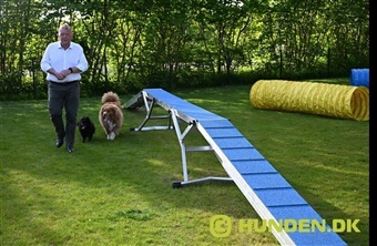 Lars L&oslash;kke inviterer til hundetr&aelig;f ved Rold Gl. Kro