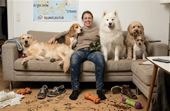 10 sk&oslash;re tegn p&aring; hundek&aelig;rlighed