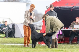 Guide: Kom godt i gang med udstilling