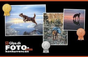 &Aring;ret f&oslash;rste vindere af fotokonkurrencen er fundet!