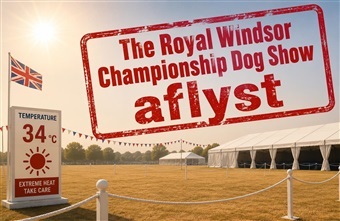 Windsor aflyser i ekstrem varme