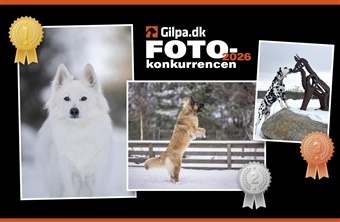 Vinderne af fotokonkurrencen er fundet