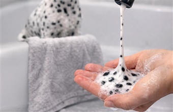 NYHED: Nathalie Dalmatian Shampoo