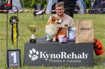 Hundefolket samler ind til Kn&aelig;k Cancer