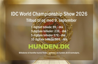 Billederne fra IDC World Championship Show 2026 er online