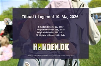 Billederne fra Roskilde er online