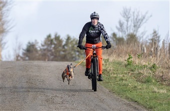 L&oslash;be- og cykeltr&aelig;ning