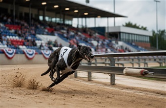 USA: Greyhound racing under pres