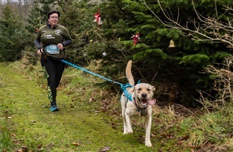 Canicross for alle hundeglade l&oslash;bere
