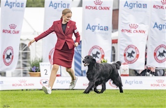 F&oslash;rste frist for tilmelding til Roskilde er mandag