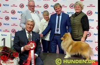 En festlig l&oslash;rdag i Herning