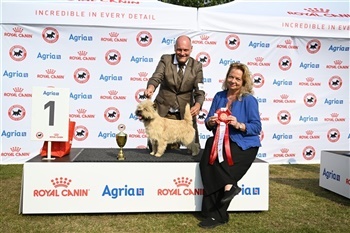 DKK-udstilling Bornholm