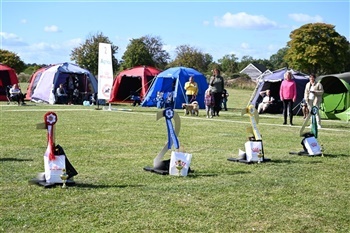 DKK-udstilling Vilhelmsborg