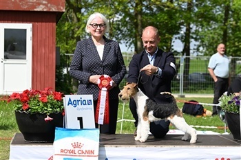 DKK-udstilling Roskilde