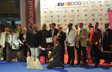EURO DOG SHOW 2012
