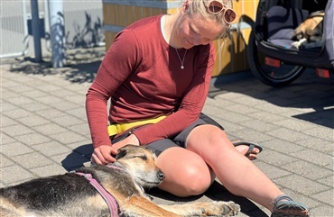 En m&aring;ned p&aring; cyklen med tre hunde
