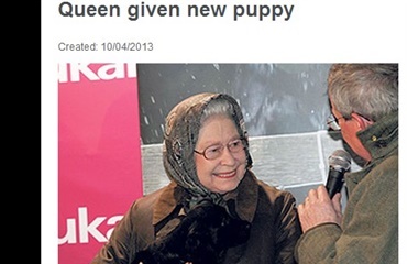 Den engelske dronning har fået ny hvalp