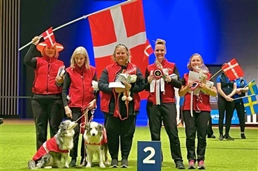 Landsholdet i Dog Dancing sk&aring;ler for s&oslash;lv og f&aelig;llesskab