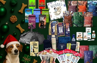 December byder p&aring; masser af hundehygge