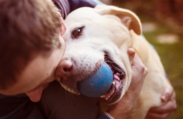 Hvordan v&aelig;lger hunden sin yndlingsperson?