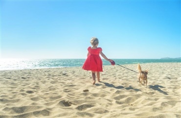 Fra 1. april skal strandhunden sn&oslash;res
