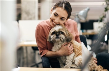 Hund p&aring; jobbet g&oslash;r os glade og reducerer stress