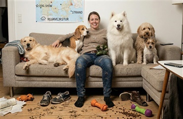 10 sk&oslash;re tegn p&aring; hundek&aelig;rlighed