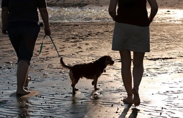 Hundeluftning for ikke–hundeejere med psykiske problemer