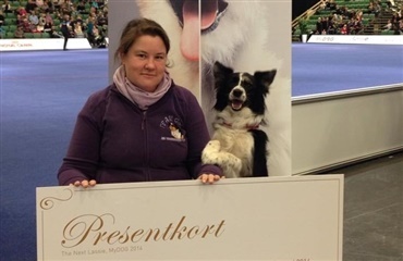Dansk hund i finalen ”The Next Lassie”