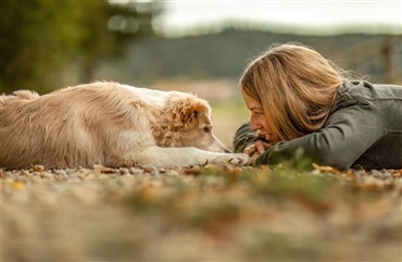 Ligner du din hund? 