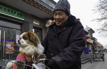 Nu er hunde k&aelig;ledyr i Kina