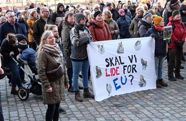Se billederne: Dyrl&aelig;ger demonstrerede ved Christiansborg