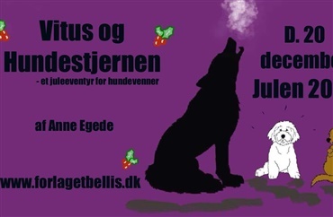 Vitus og hundestjernen - 20. December