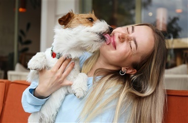 Nyt studie viser dybere b&aring;nd til hunden end til mennesker