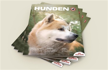 Gl&aelig;d dig – et spritnyt nummer af HUNDEN er landet!