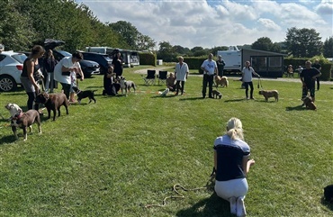 Hundematch blev en k&aelig;mpe succes p&aring; Boeslunde Camping