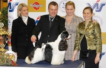 Årets Hund i Island er DANSK